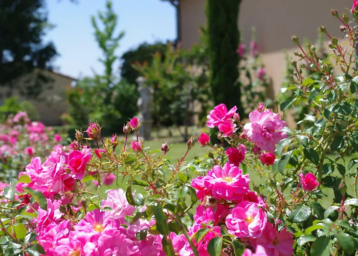 Hotel La Bastide D'Iris